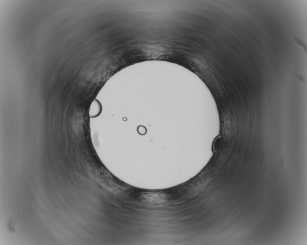 X0000102770221200809151047