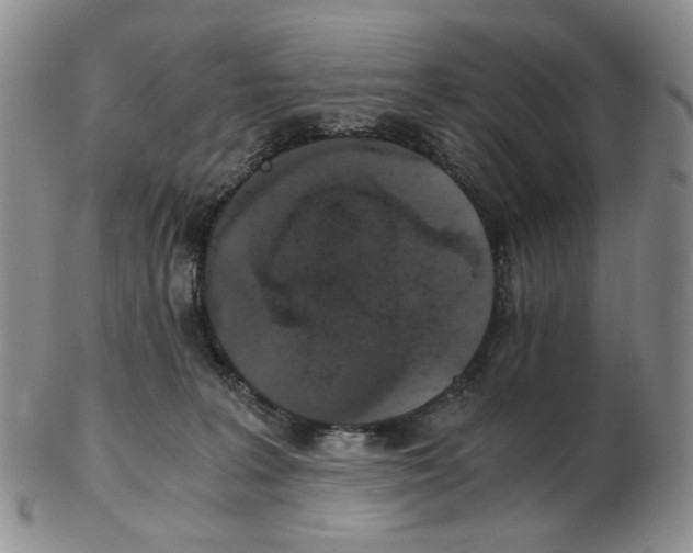 X0000102770227200809151047