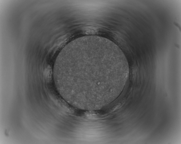 X0000102770228200809151047