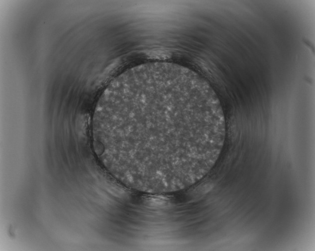 X0000102770229200809151047