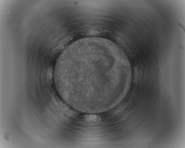 X0000102770230200809151047