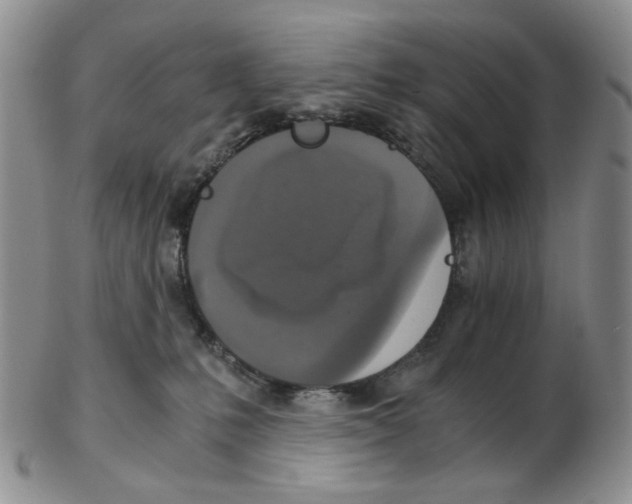 X0000102770231200809151047