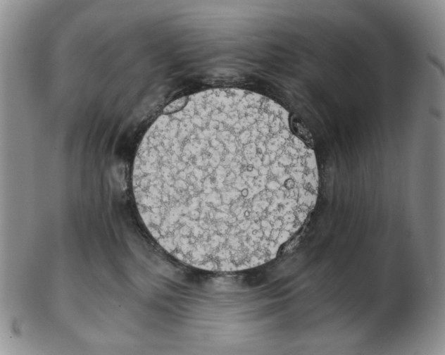 X0000102770232200809151047