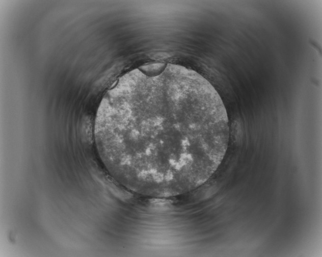 X0000102770234200809151047