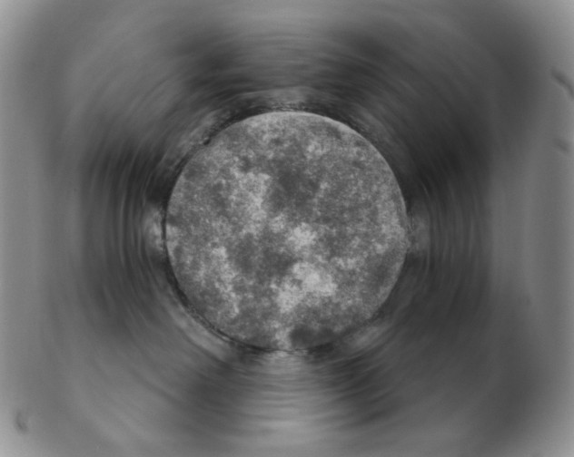 X0000102770238200809151047