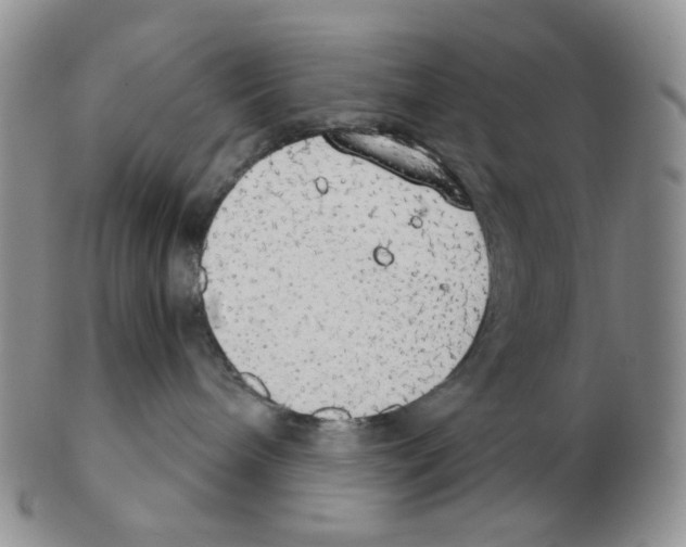 X0000102770240200809151047