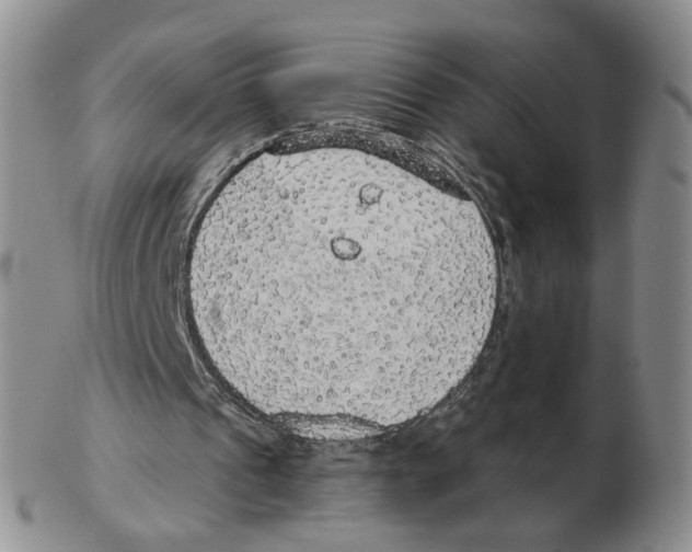 X0000102770241200809151046