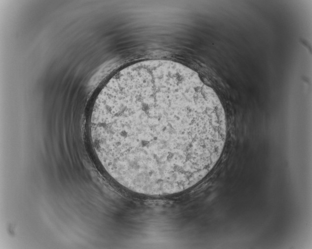 X0000102770242200809151046