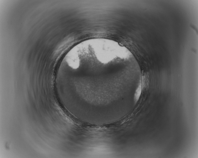 X0000102770243200809151046