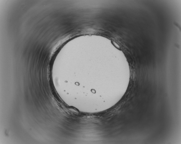 X0000102770244200809151046