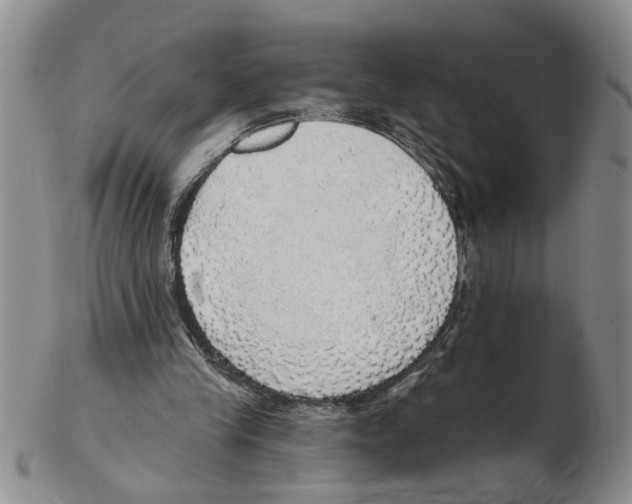 X0000102770245200809151046