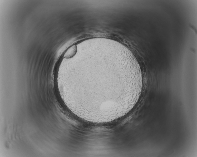 X0000102770246200809151046