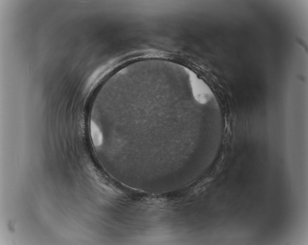 X0000102770247200809151046