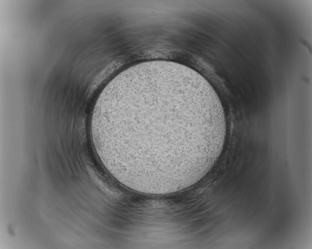 X0000102770250200809151046