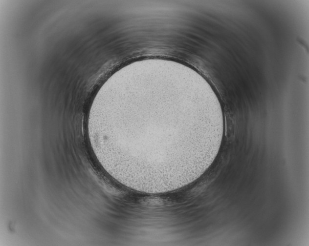 X0000102770253200809151046