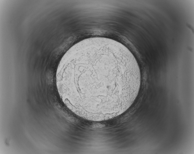 X0000102770257200809151046