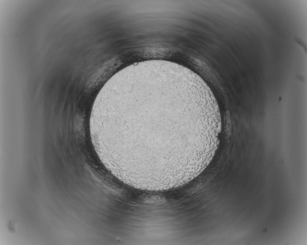 X0000102770258200809151046