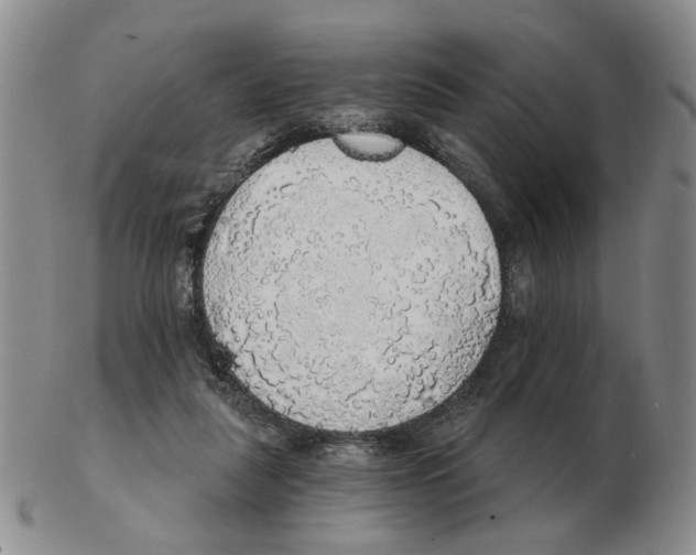 X0000102770259200809151046