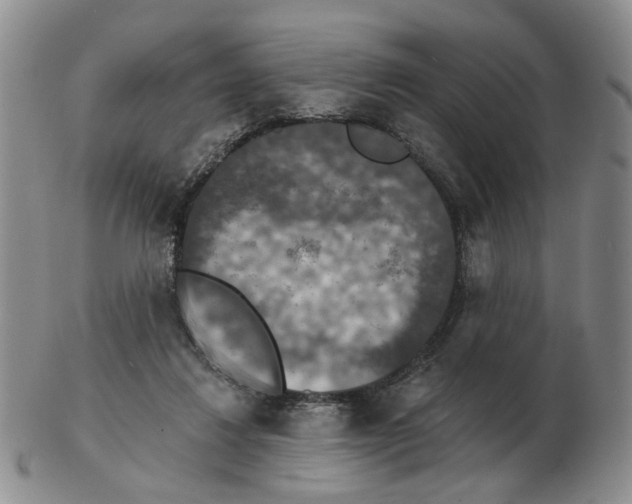 X0000102770260200809151046