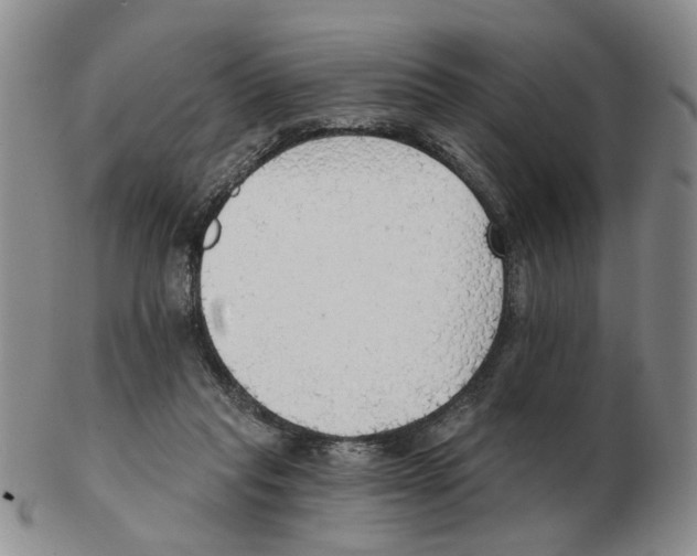 X0000102770261200809151046