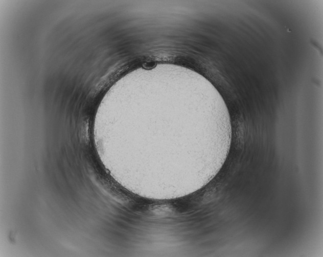 X0000102770262200809151046