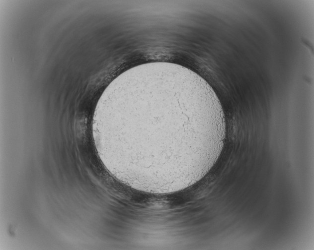 X0000102770263200809151046