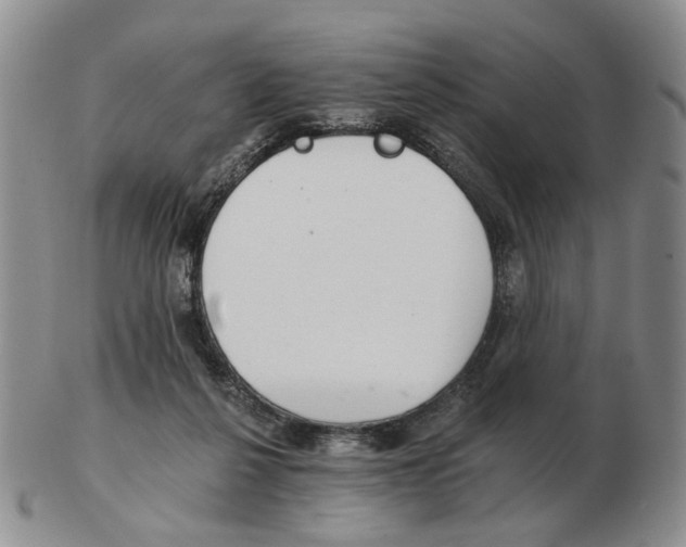 X0000102770264200809151046