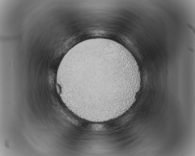 X0000102770265200809151046