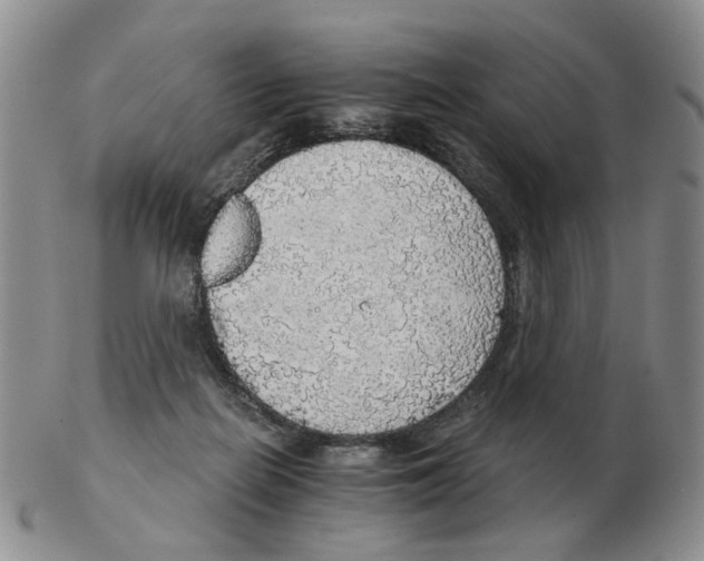 X0000102770266200809151046