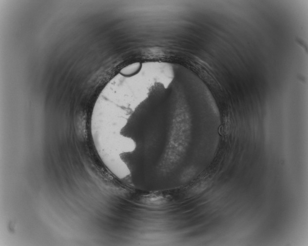 X0000102770267200809151046