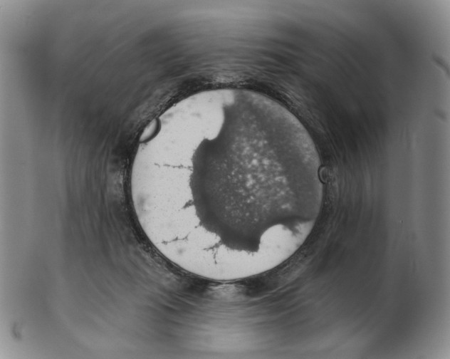 X0000102770269200809151047