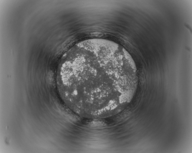 X0000102770270200809151047