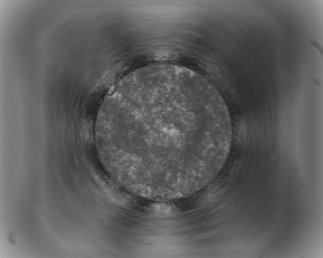 X0000102770272200809151047