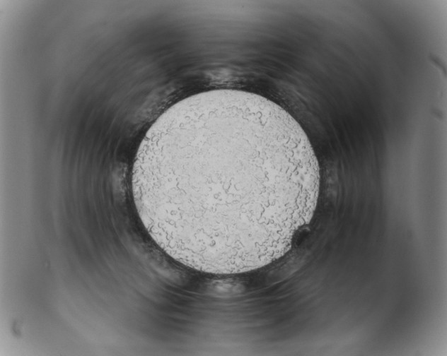 X0000102770275200809151047