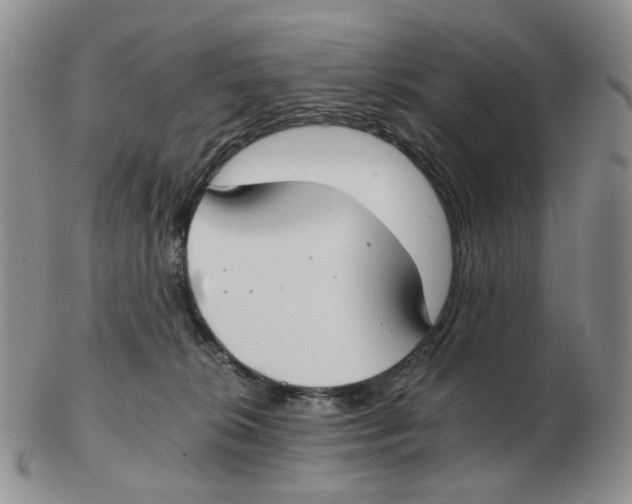 X0000102770276200809151047