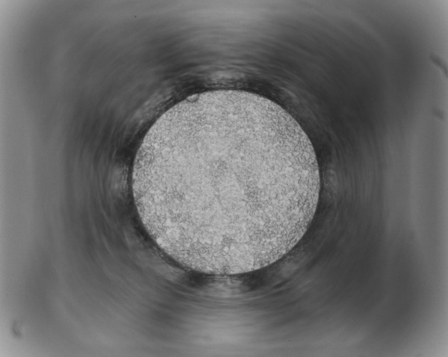 X0000102770278200809151047