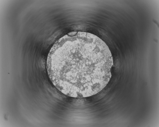 X0000102770282200809151047