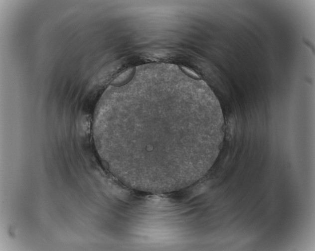 X0000102770284200809151047