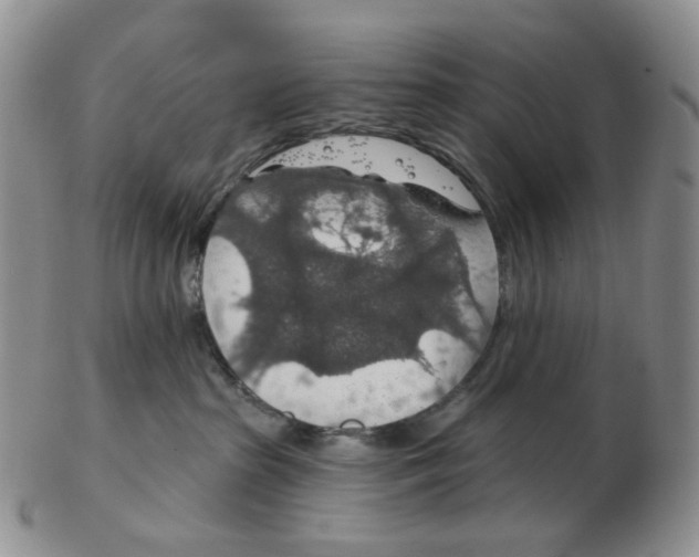 X0000102770285200809151047