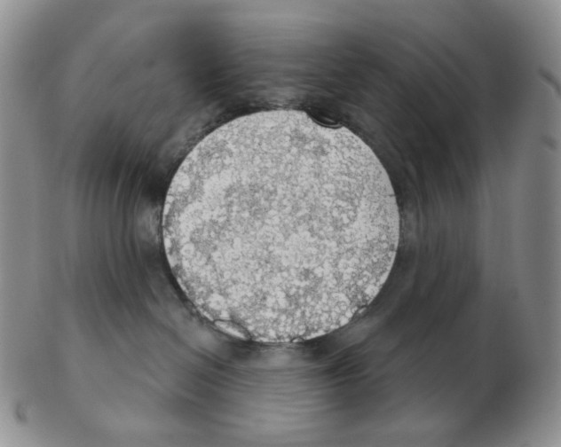 X0000102770286200809151047