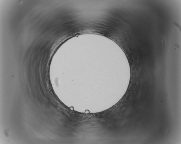 X0000102770289200809151046