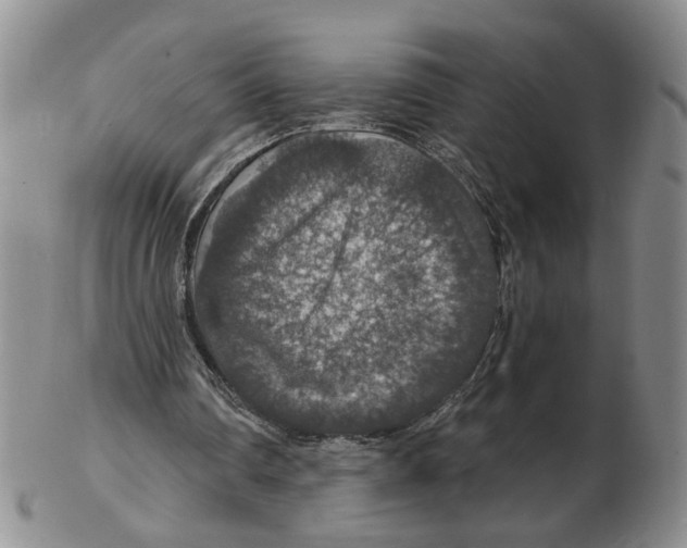 X0000102770290200809151046