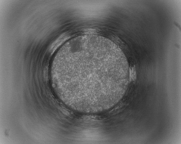 X0000102770291200809151046