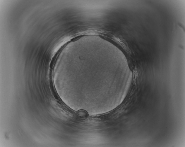 X0000102770292200809151046