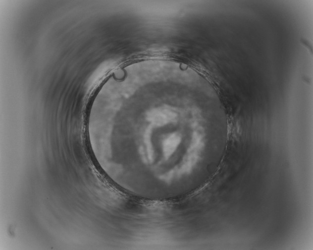 X0000102770293200809151046