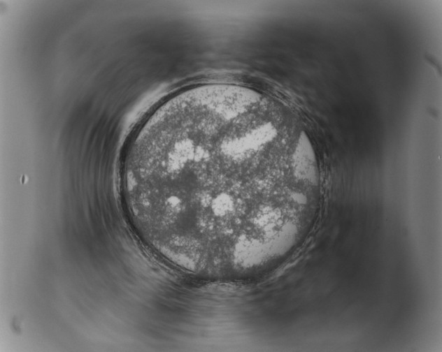 X0000102770294200809151046