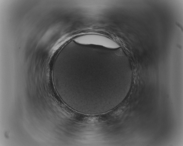 X0000102770295200809151046