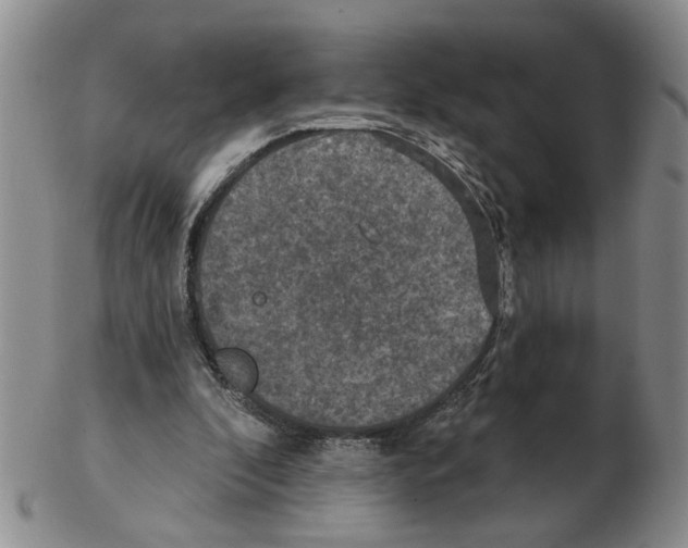 X0000102770296200809151046