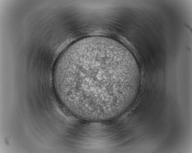 X0000102770298200809151046