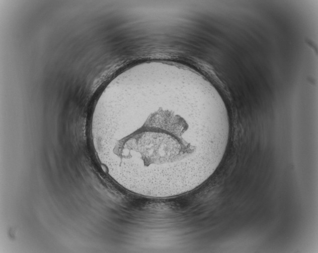 X0000102770299200809151046